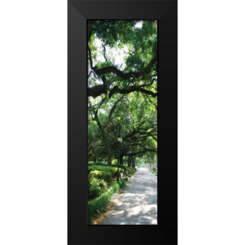Savannah Sidewalk Panel II Black Modern Wood Framed Art Print by Hausenflock, Alan