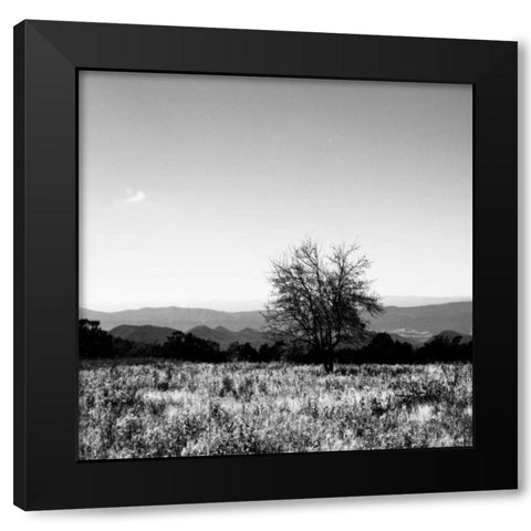 Big Meadow Square III Black Modern Wood Framed Art Print with Double Matting by Hausenflock, Alan