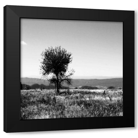 Big Meadow Square IV Black Modern Wood Framed Art Print with Double Matting by Hausenflock, Alan