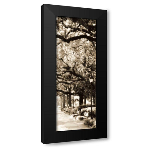 Savannah in Sepia I Black Modern Wood Framed Art Print with Double Matting by Hausenflock, Alan