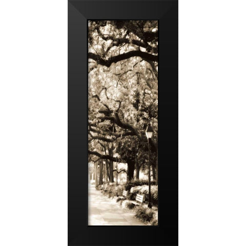 Savannah in Sepia I Black Modern Wood Framed Art Print by Hausenflock, Alan