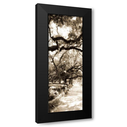 Savannah in Sepia II Black Modern Wood Framed Art Print with Double Matting by Hausenflock, Alan