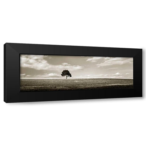 Cloudy Skies Panel III Black Modern Wood Framed Art Print by Hausenflock, Alan