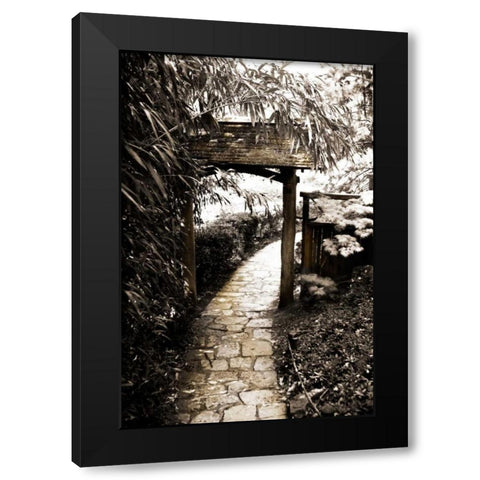 Bamboo Garden I Black Modern Wood Framed Art Print with Double Matting by Hausenflock, Alan