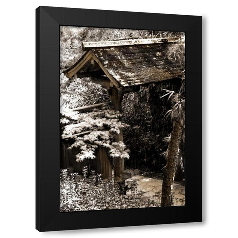 Bamboo Garden II Black Modern Wood Framed Art Print with Double Matting by Hausenflock, Alan