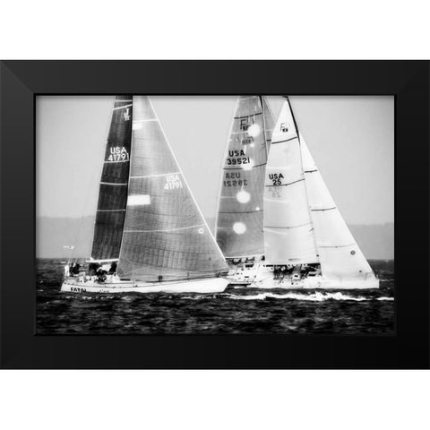 Race on the Chesapeake III Black Modern Wood Framed Art Print by Hausenflock, Alan