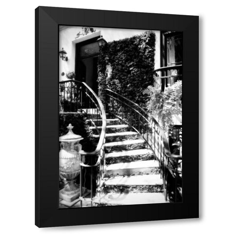 Savannah Style I Black Modern Wood Framed Art Print by Hausenflock, Alan