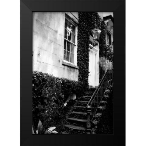 Savannah Style II Black Modern Wood Framed Art Print by Hausenflock, Alan