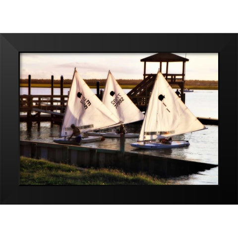 Three Sunfish II Black Modern Wood Framed Art Print by Hausenflock, Alan