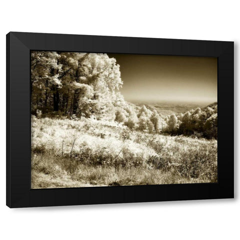 Swift Run Gap I Black Modern Wood Framed Art Print with Double Matting by Hausenflock, Alan