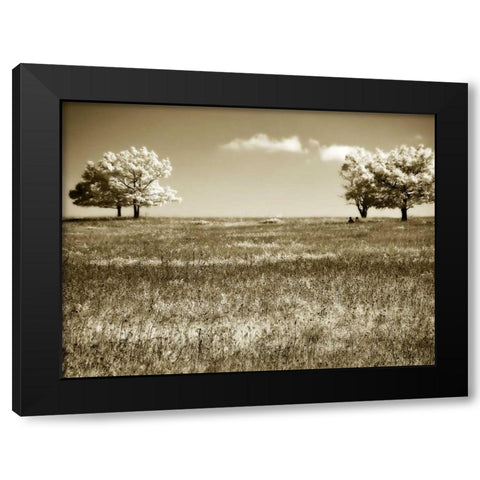 Mountain Picnic I Black Modern Wood Framed Art Print with Double Matting by Hausenflock, Alan
