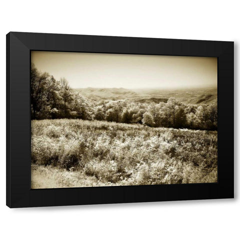 Piney Mountain I Black Modern Wood Framed Art Print with Double Matting by Hausenflock, Alan