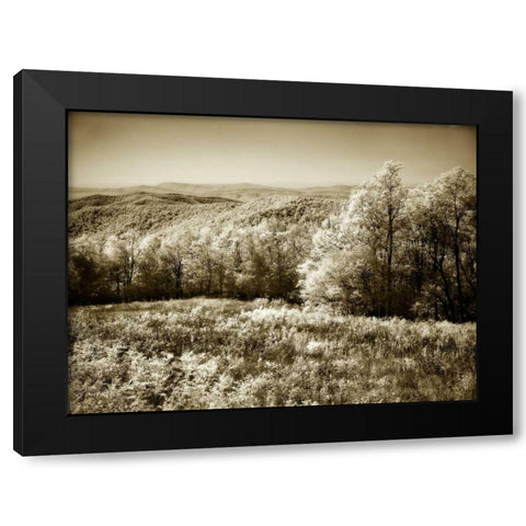 Piney Mountain II Black Modern Wood Framed Art Print with Double Matting by Hausenflock, Alan