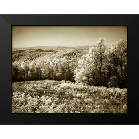 Piney Mountain II Black Modern Wood Framed Art Print by Hausenflock, Alan