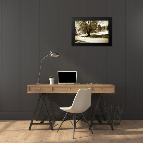 Geese at the Pond I Black Modern Wood Framed Art Print by Hausenflock, Alan