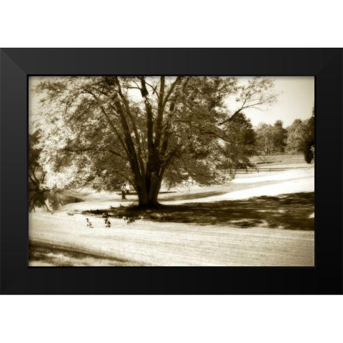Geese at the Pond I Black Modern Wood Framed Art Print by Hausenflock, Alan