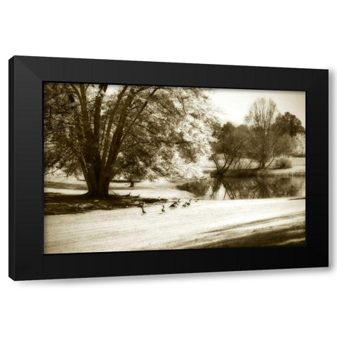 Geese at the Pond II Black Modern Wood Framed Art Print with Double Matting by Hausenflock, Alan