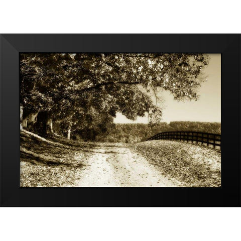The Road Home I Black Modern Wood Framed Art Print by Hausenflock, Alan