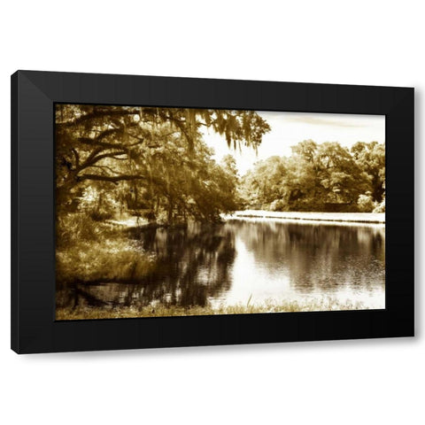 Mossy Lake I Black Modern Wood Framed Art Print by Hausenflock, Alan