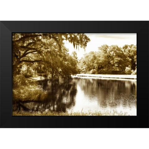 Mossy Lake I Black Modern Wood Framed Art Print by Hausenflock, Alan