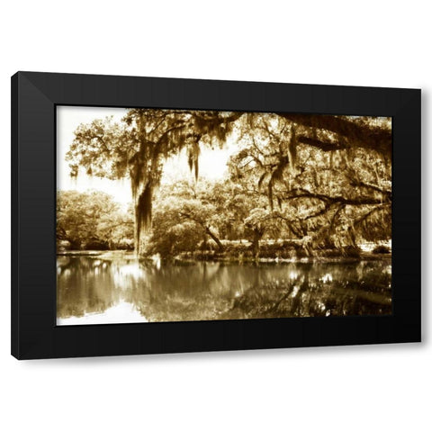 Mossy Lake II Black Modern Wood Framed Art Print with Double Matting by Hausenflock, Alan