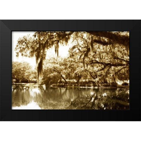 Mossy Lake II Black Modern Wood Framed Art Print by Hausenflock, Alan