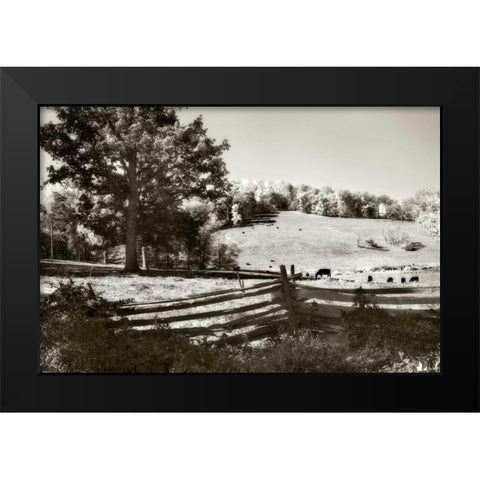 Autumn Pastures I Black Modern Wood Framed Art Print by Hausenflock, Alan