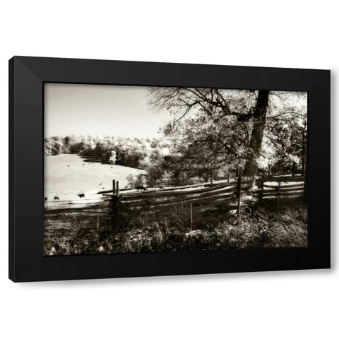 Autumn Pastures II Black Modern Wood Framed Art Print with Double Matting by Hausenflock, Alan