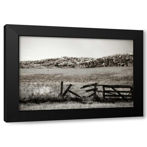 Autumn Pastures III Black Modern Wood Framed Art Print with Double Matting by Hausenflock, Alan