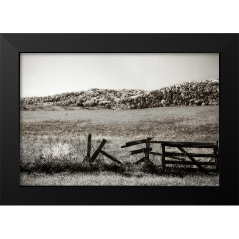 Autumn Pastures III Black Modern Wood Framed Art Print by Hausenflock, Alan