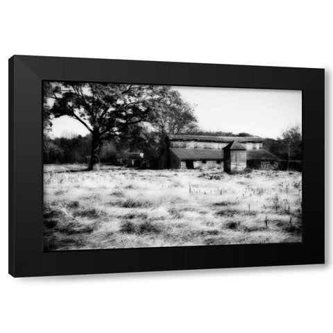 Fallow Fields I Black Modern Wood Framed Art Print with Double Matting by Hausenflock, Alan