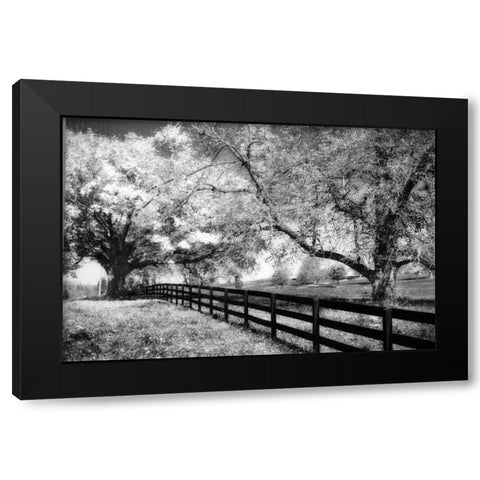 Rural Route III3 I Black Modern Wood Framed Art Print by Hausenflock, Alan