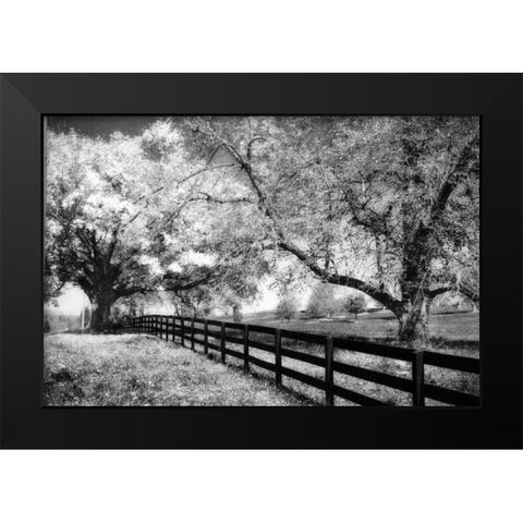 Rural Route III3 I Black Modern Wood Framed Art Print by Hausenflock, Alan