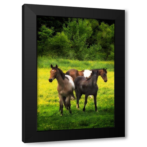The Horses Three I Black Modern Wood Framed Art Print by Hausenflock, Alan