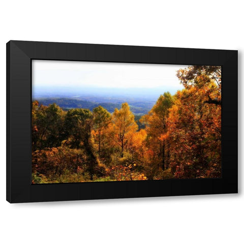 Shenandoah Valley II Black Modern Wood Framed Art Print by Hausenflock, Alan