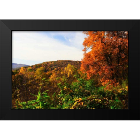 Rockfish Gap Black Modern Wood Framed Art Print by Hausenflock, Alan