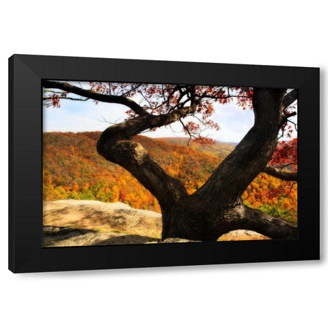 Wildcat Ridge II Black Modern Wood Framed Art Print with Double Matting by Hausenflock, Alan