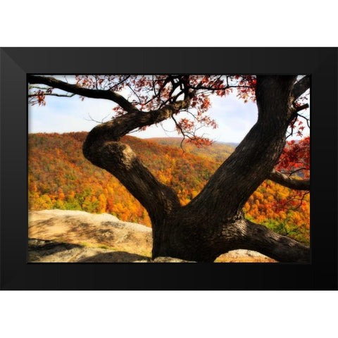 Wildcat Ridge II Black Modern Wood Framed Art Print by Hausenflock, Alan