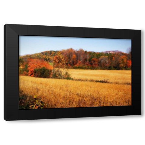 Sperryville Fields IV Black Modern Wood Framed Art Print with Double Matting by Hausenflock, Alan