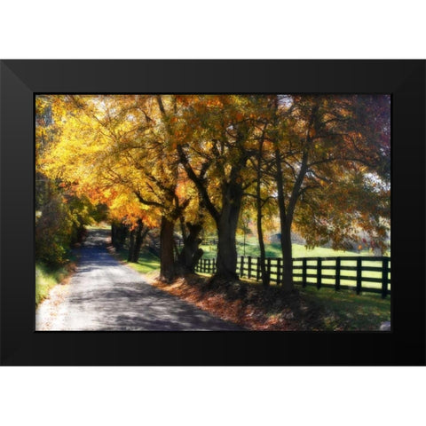 Country Road I Black Modern Wood Framed Art Print by Hausenflock, Alan