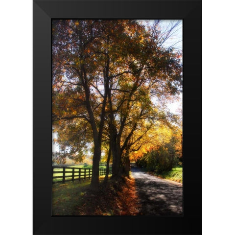 Country Road III Black Modern Wood Framed Art Print by Hausenflock, Alan