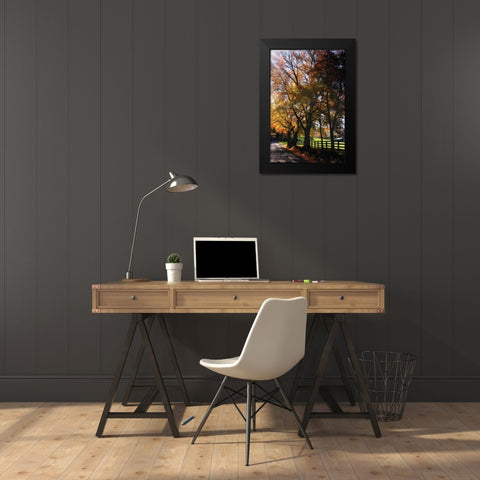 Country Road IV Black Modern Wood Framed Art Print by Hausenflock, Alan