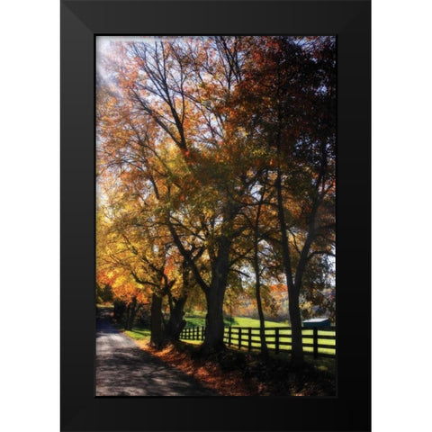 Country Road IV Black Modern Wood Framed Art Print by Hausenflock, Alan