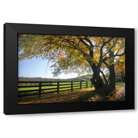 Hillside Farm I Black Modern Wood Framed Art Print with Double Matting by Hausenflock, Alan