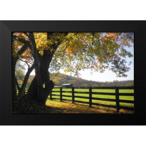 Hillside Farm II Black Modern Wood Framed Art Print by Hausenflock, Alan