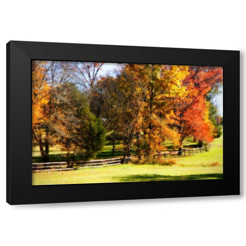 Keswick Pasture I Black Modern Wood Framed Art Print with Double Matting by Hausenflock, Alan