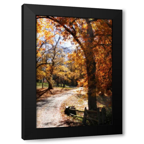 Autumn on Kent Farm IV Black Modern Wood Framed Art Print with Double Matting by Hausenflock, Alan