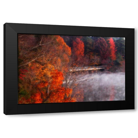 Cold Autumn Morning I Black Modern Wood Framed Art Print with Double Matting by Hausenflock, Alan