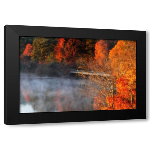 Cold Autumn Morning II Black Modern Wood Framed Art Print with Double Matting by Hausenflock, Alan