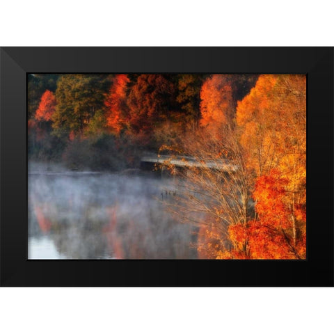 Cold Autumn Morning II Black Modern Wood Framed Art Print by Hausenflock, Alan